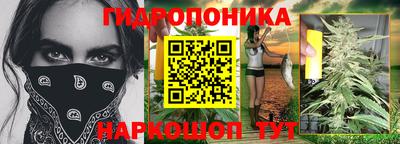 дживик Тверь