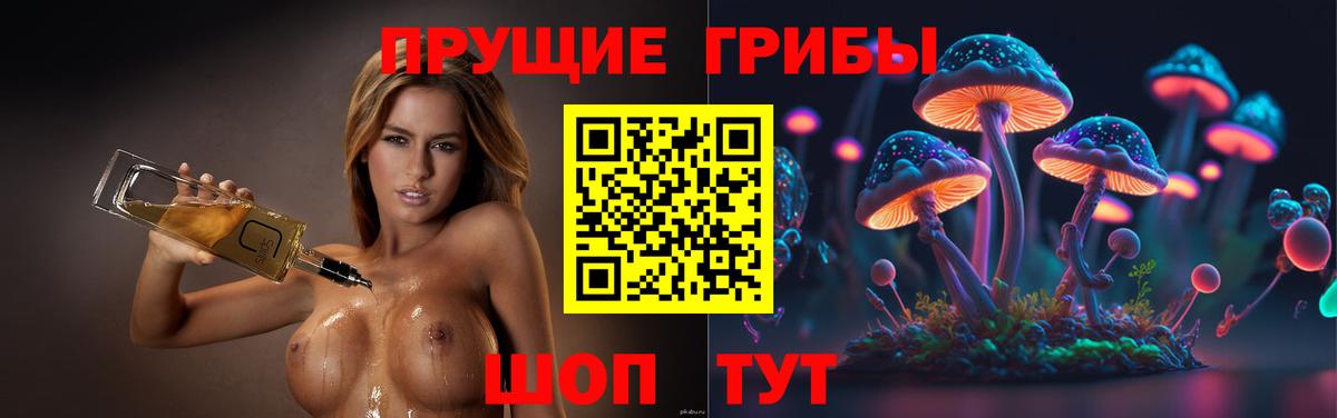 Галлюциногенные грибы Psilocybe Мыски